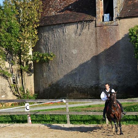 Chateau Des Noces Bazoges-en-Pareds Екстер'єр фото