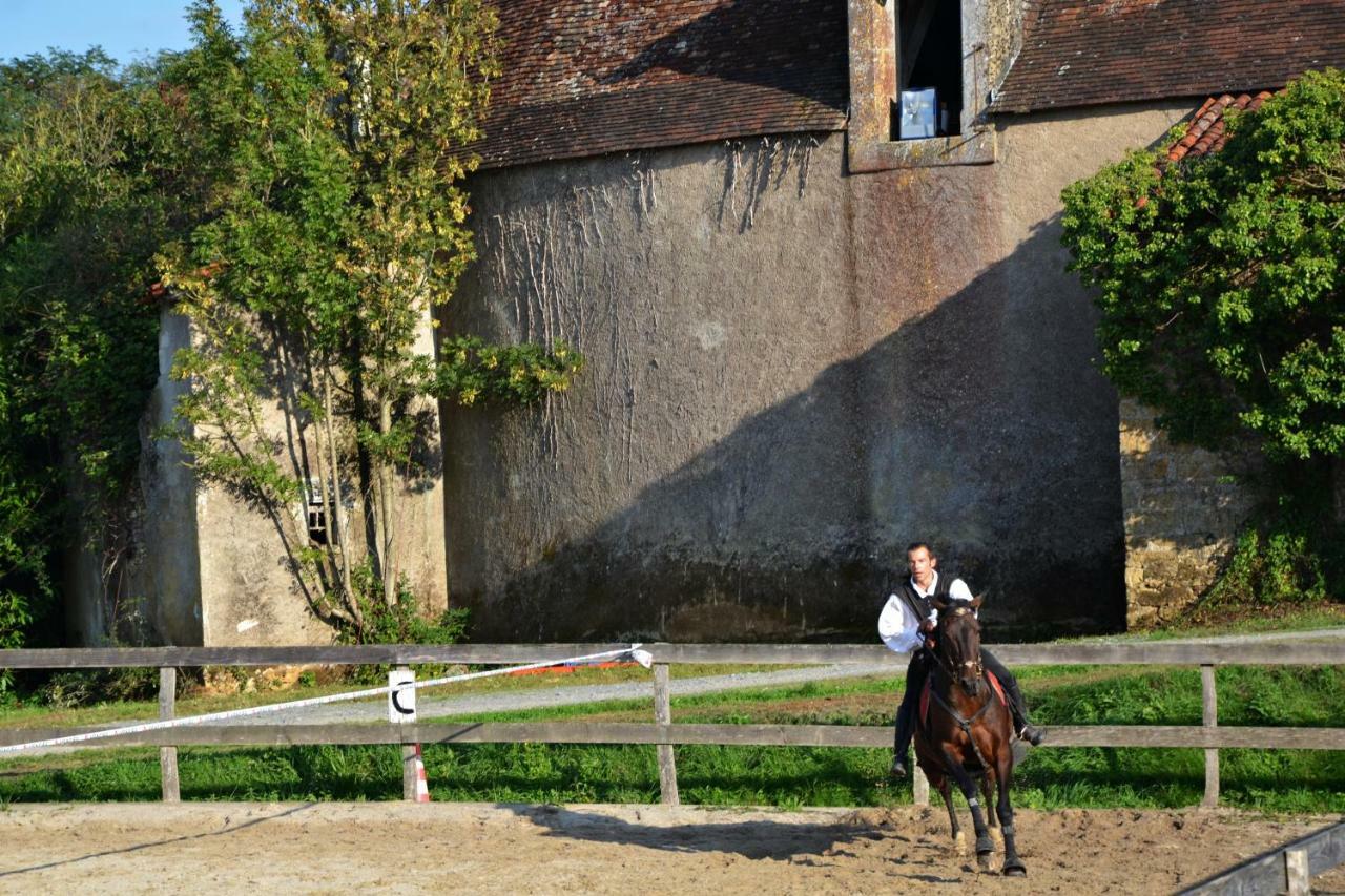 Chateau Des Noces Bazoges-en-Pareds Екстер'єр фото