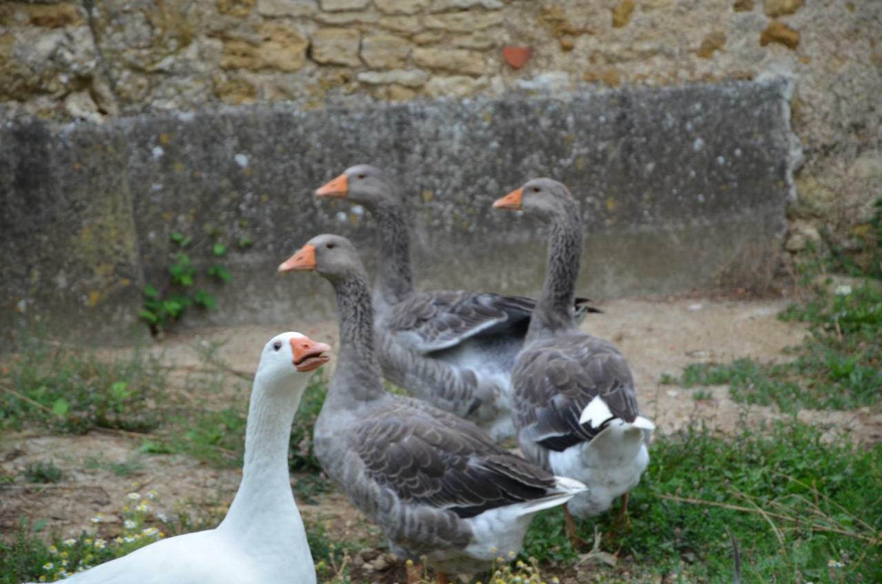 Chateau Des Noces Bazoges-en-Pareds Екстер'єр фото